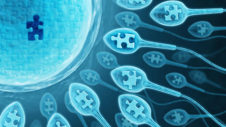 IVF / Infertility